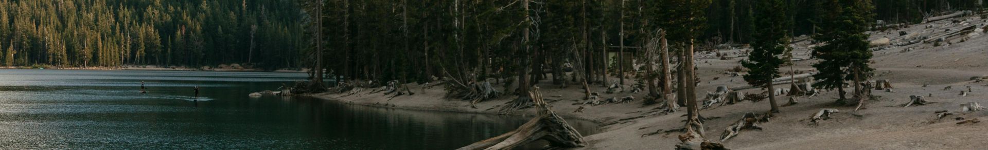 Lake Surrounded by Pine Trees