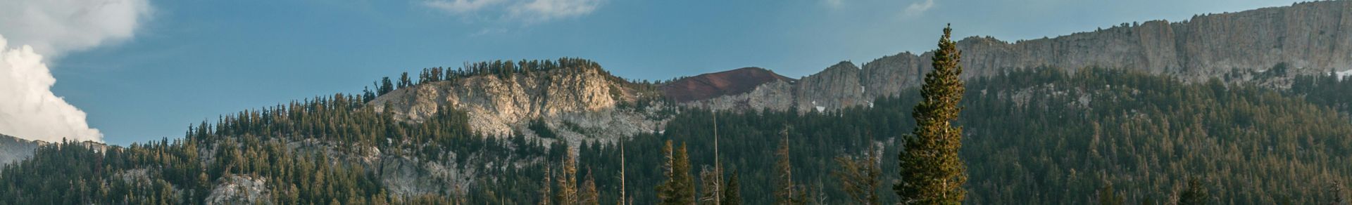 Lake Surrounded by Pine Trees